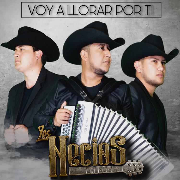 Los Necios's avatar image