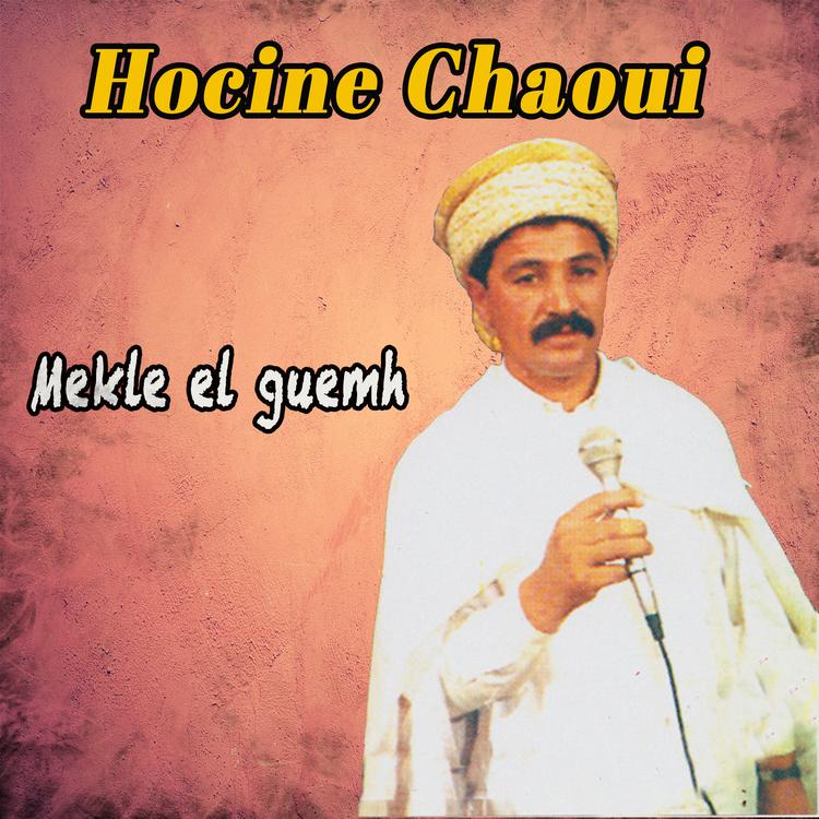 Hocine Chaoui's avatar image