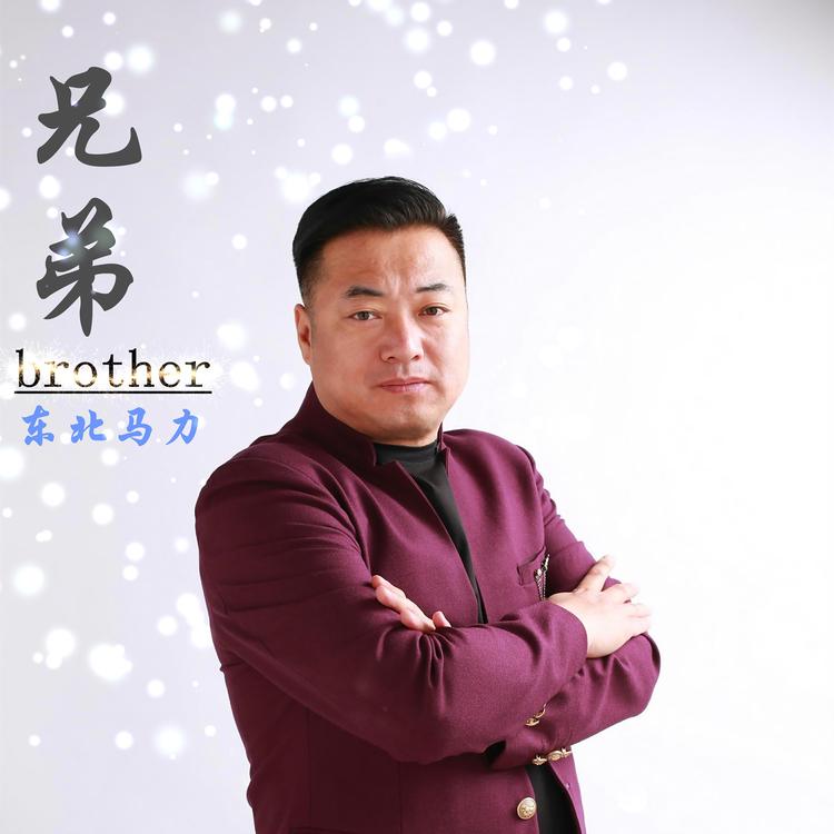 东北马力's avatar image