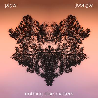 Nothing Else Matters By Piple, Joongle's cover