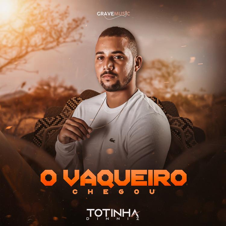 Totinha DInniz's avatar image