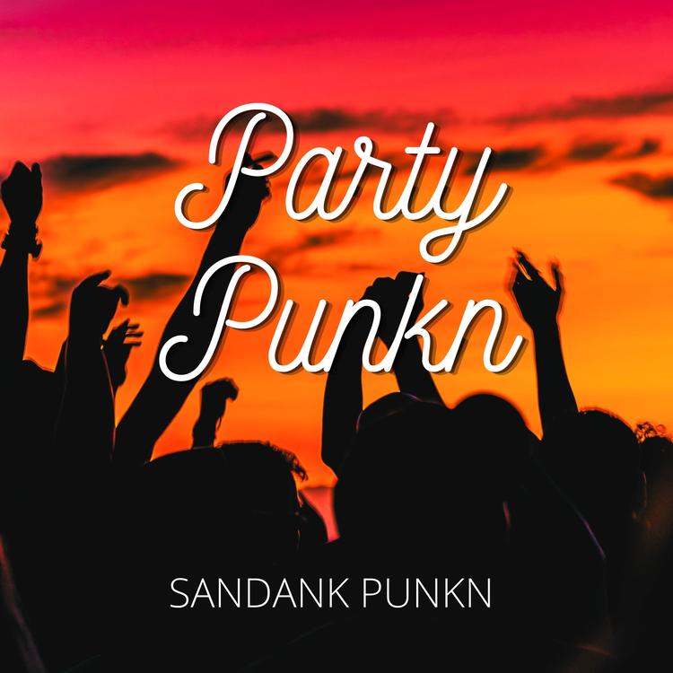 Sandank Punkn's avatar image