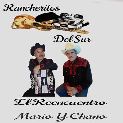 No Digas Mi Nombre By Rancheritos del Sur's cover