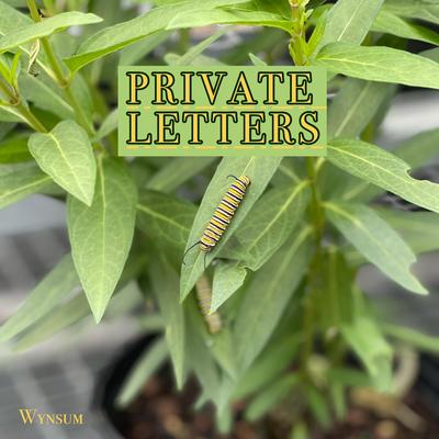 Private Letters's cover