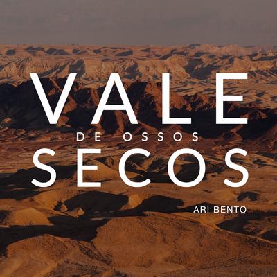 Vale de Ossos Secos's cover