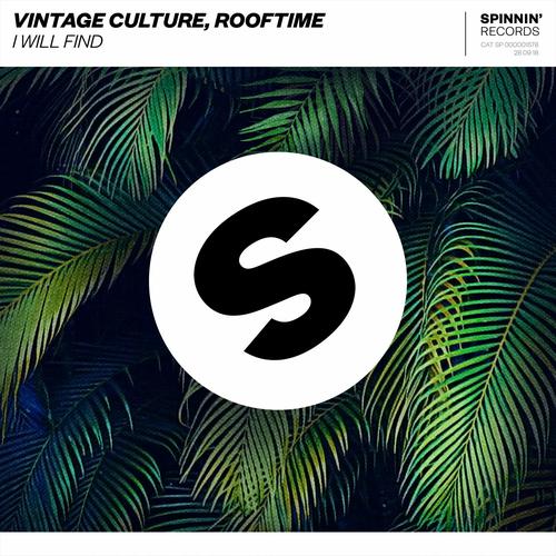 I Will Find Vintage Culture 's cover