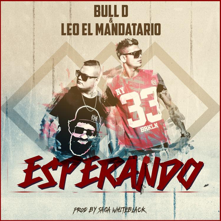 Bull D & Leo El Mandatario's avatar image