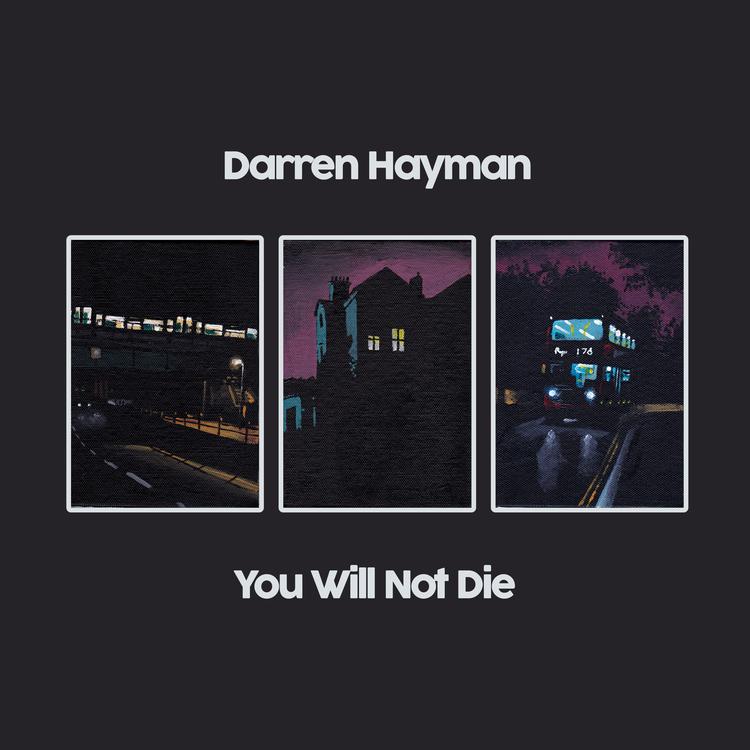 Darren Hayman's avatar image