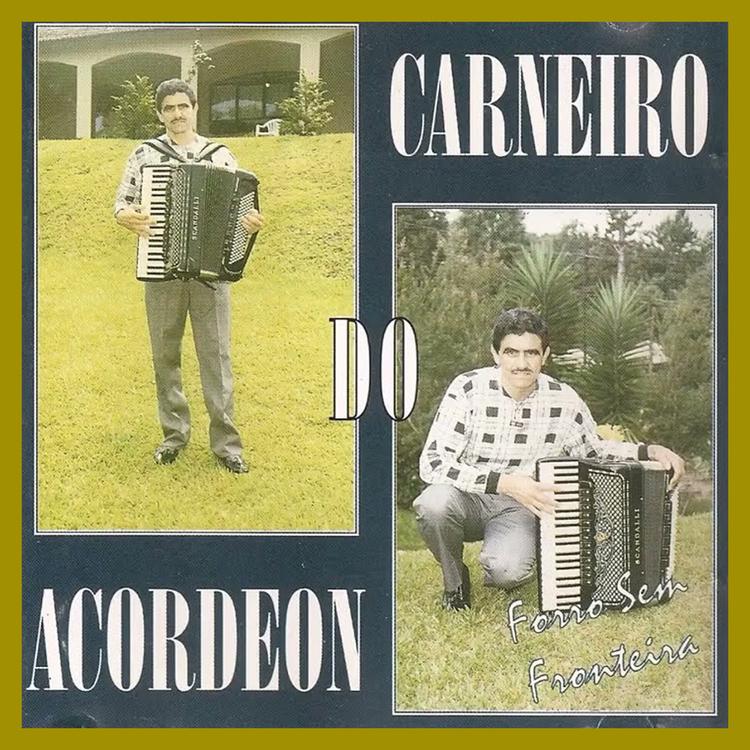 Carneiro do Acordeon's avatar image