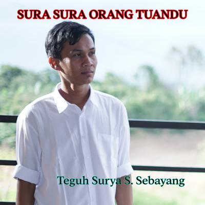 Teguh Surya S. Sebayang's cover