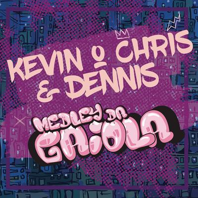 Medley da Gaiola (DENNIS Remix)'s cover