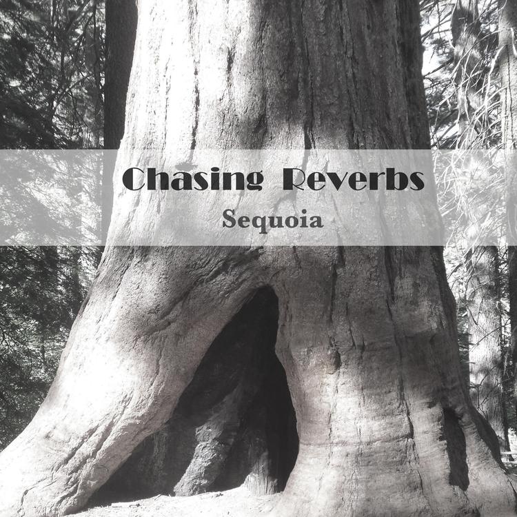 Chasing Reverbs's avatar image