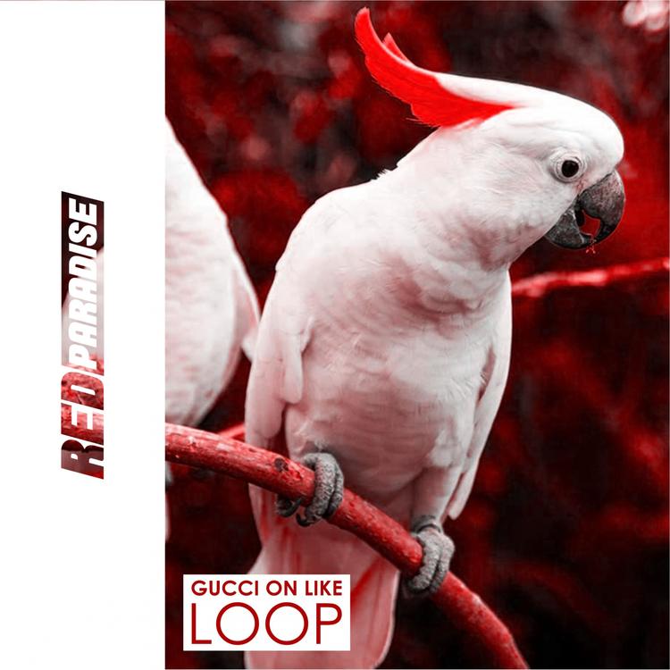 Loop's avatar image