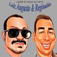 Luiz Augusto & Reginaldo's avatar cover