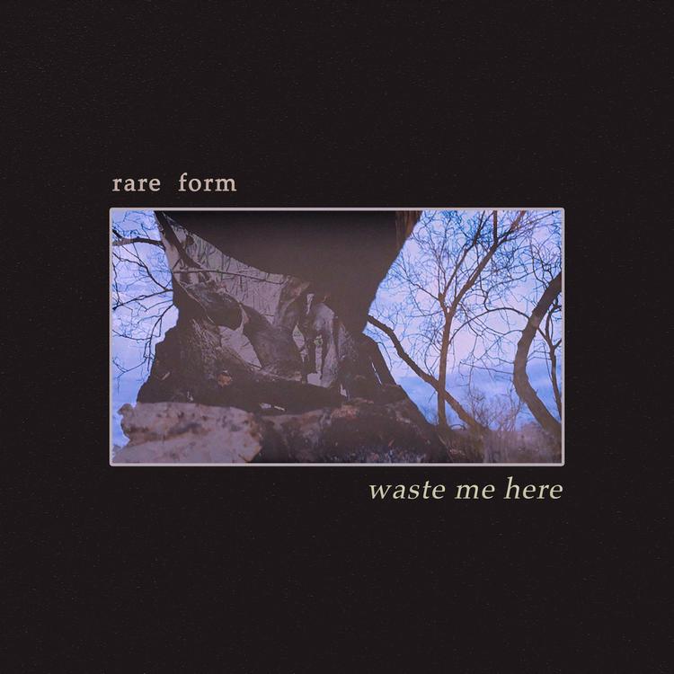 Rare Form's avatar image