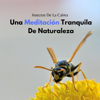 Insectos De La Calma: Una Meditación Tranquila De Naturaleza's cover