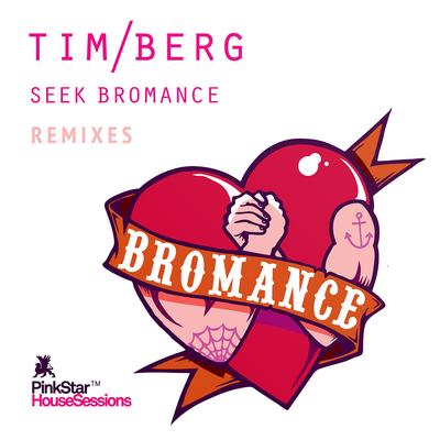 Seek Bromance (Kato Remix) By Avicii's cover