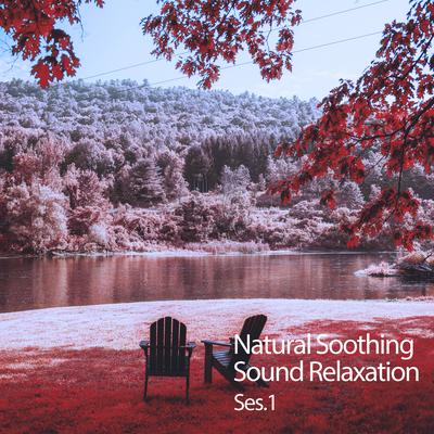 Natural Soothing Sound Relaxation Ses. 1's cover