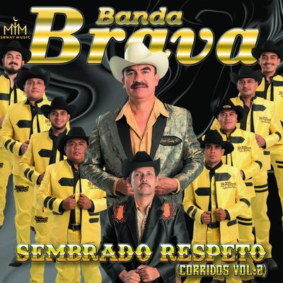 Sembrado Respeto, Vol. 2 (Corridos)'s cover