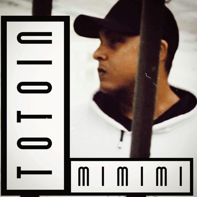 Totoin's avatar image