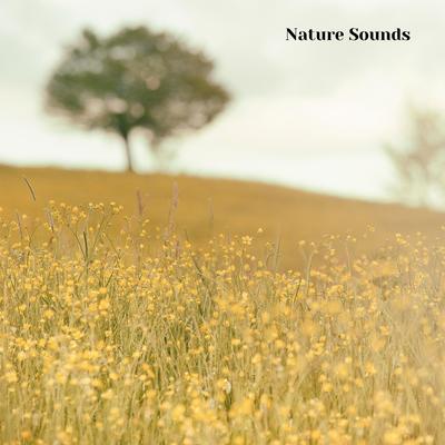 Calming Nature Sounds, Relaxing Nature Noises, Pt. 6's cover