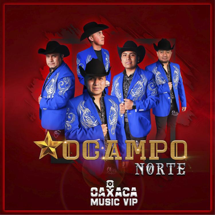 Ocampo Norte's avatar image