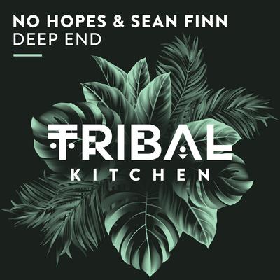 Deep End (Radio Edit) By Sean Finn, No Hopes's cover