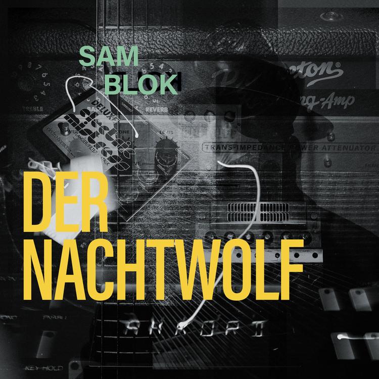 Sam BLOK's avatar image