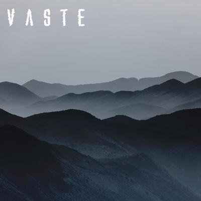 VASTE's cover