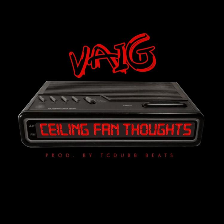 Vaig's avatar image