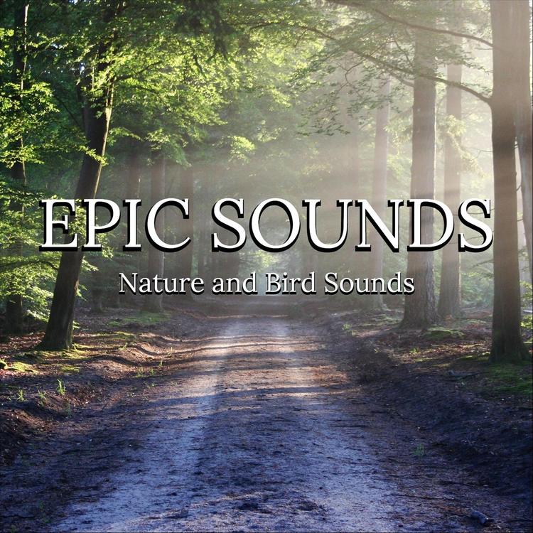 Epic Sounds's avatar image