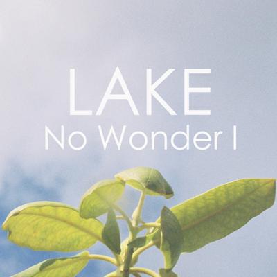 No Wonder I By Lake's cover