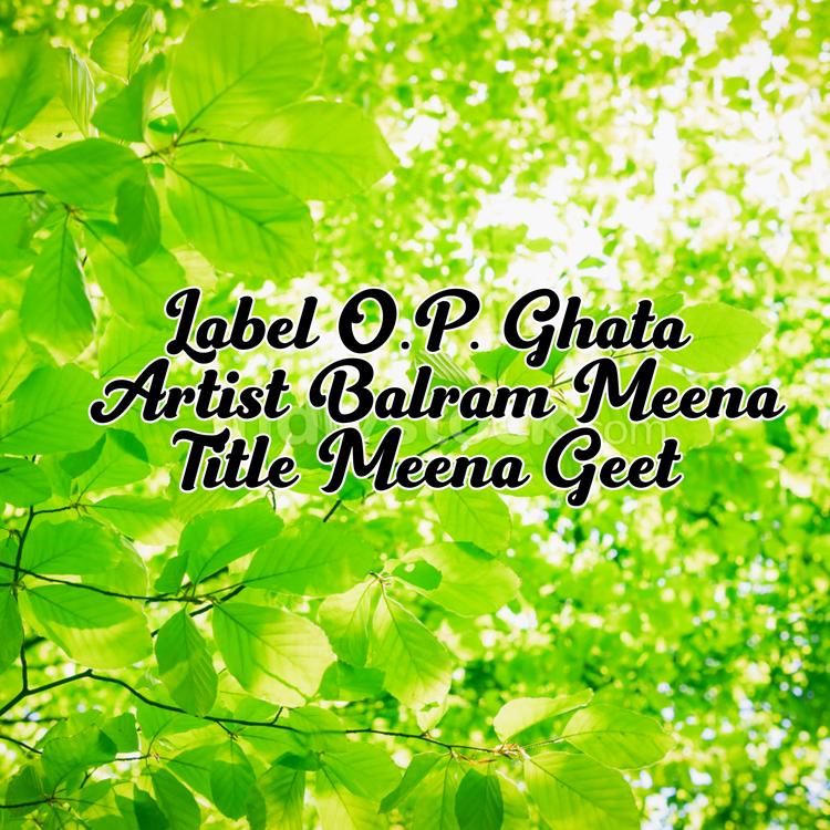 Balram Meena's avatar image