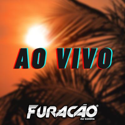 A Rosa e o Beija Flor (Ao Vivo) By Furacão Da Vanera's cover