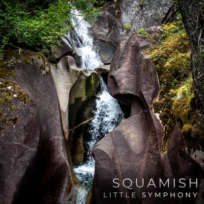 Squamish By Little Symphony's cover