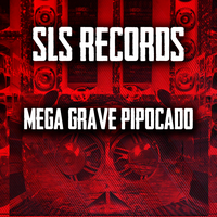 SLS Records's avatar cover