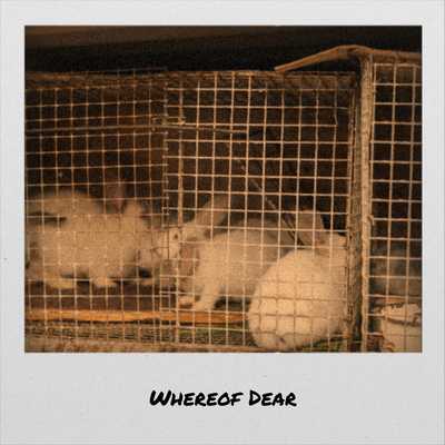 Whereof Dear's cover