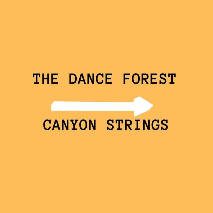 The dance Forest's avatar image