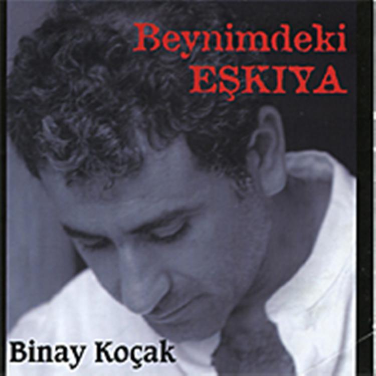 Binay Koçak's avatar image