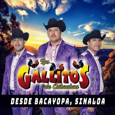 En Vivo Desde Bacayopa Sinaloa's cover
