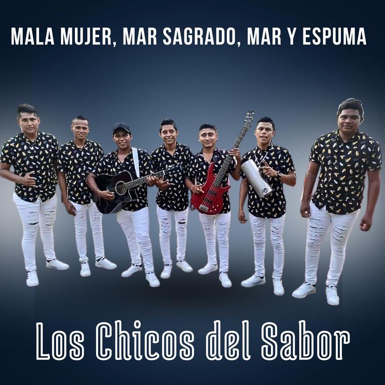Los Chicos Del Sabor's avatar image