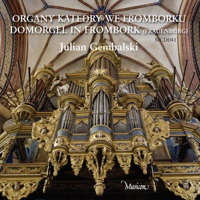 Toccata and Fugue D-minor (BWV 565) (Instrumental)'s cover