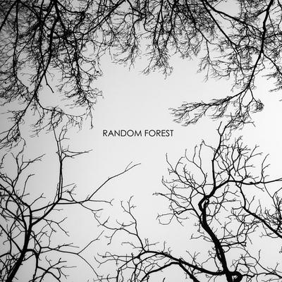 The Best of Us By Random Forest's cover