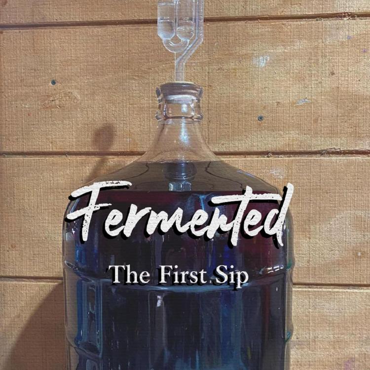 Fermented's avatar image