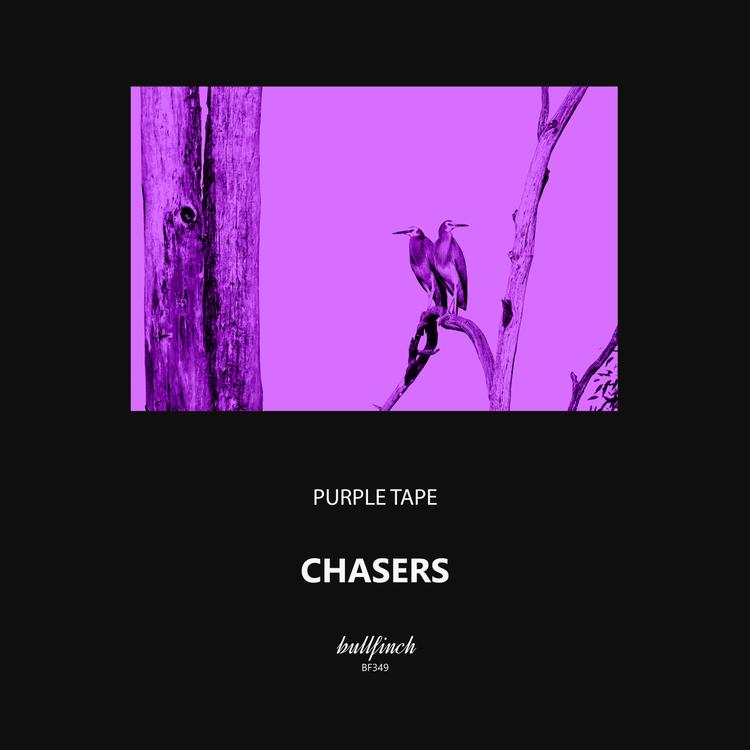 Purple Tape's avatar image