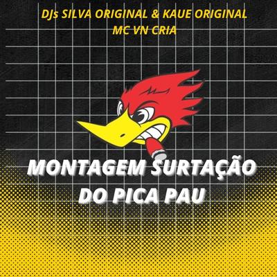 Montagem Surtação do Pica Pau By DJ Kaue Original, MC VN Cria, DJ Silva Original's cover