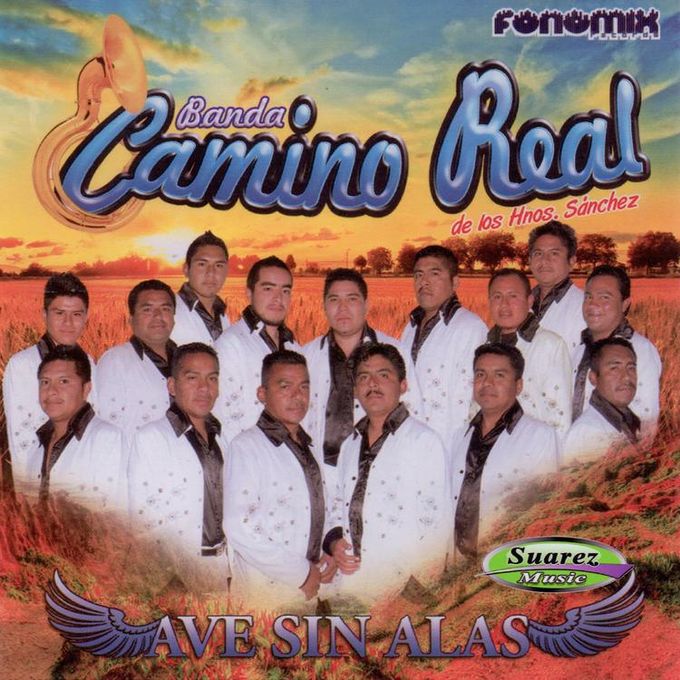 Banda Camino Real's avatar image