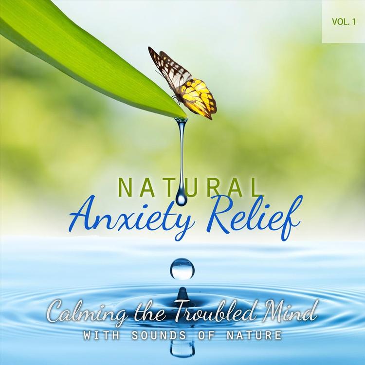 Natural Anxiety Relief's avatar image