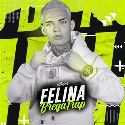 Felina By DJ VITINHO5's cover