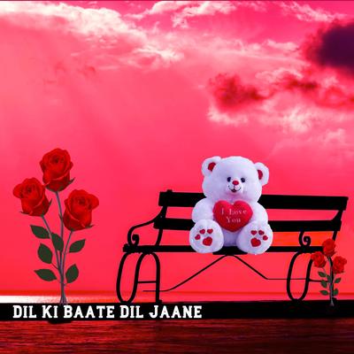 Dil Ki Baate Dil Jaane's cover
